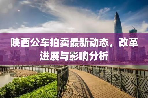 陕西公车拍卖最新动态，改革进展与影响分析