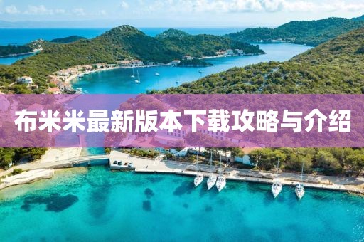 布米米最新版本下载攻略与介绍