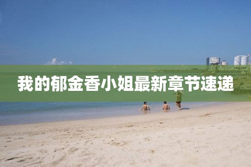 我的郁金香小姐最新章节速递