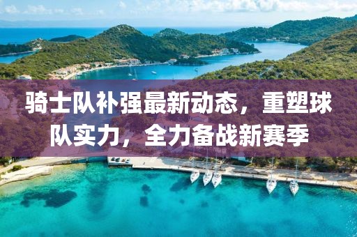 骑士队补强最新动态，重塑球队实力，全力备战新赛季