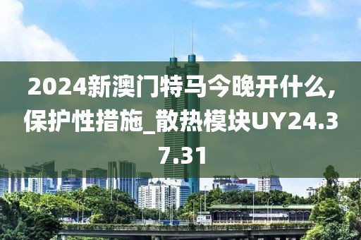 2024新澳门特马今晚开什么,保护性措施_散热模块UY24.37.31