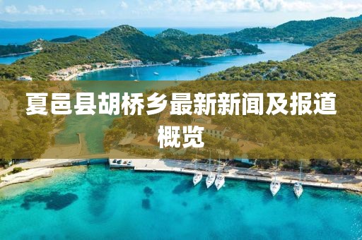 夏邑县胡桥乡最新新闻及报道概览