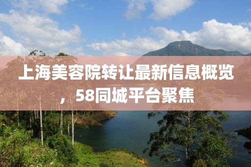 上海美容院转让最新信息概览，58同城平台聚焦