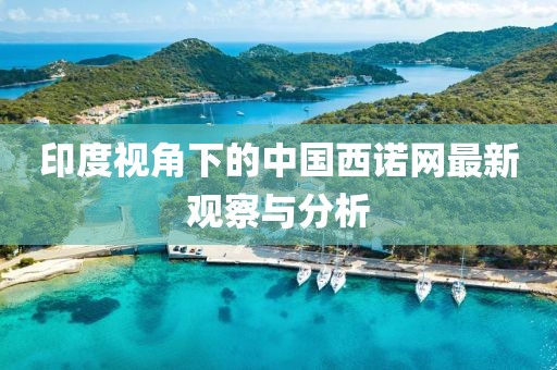 印度视角下的中国西诺网最新观察与分析