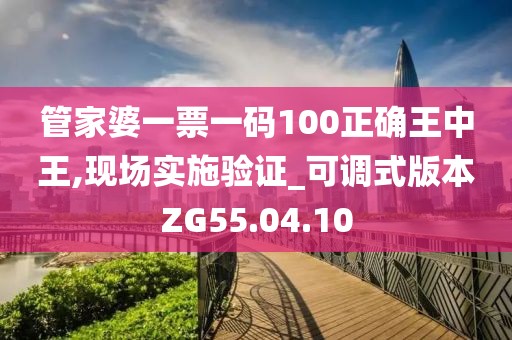 管家婆一票一码100正确王中王,现场实施验证_可调式版本ZG55.04.10