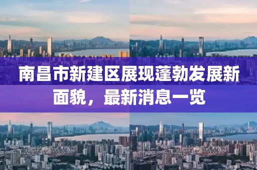 南昌市新建区展现蓬勃发展新面貌，最新消息一览