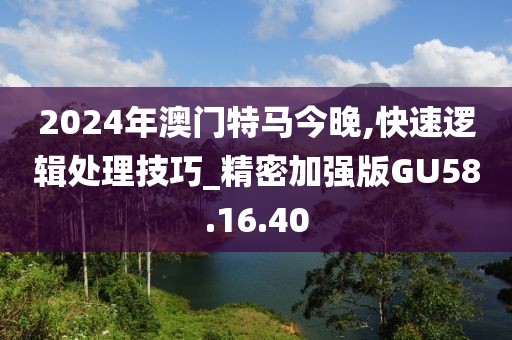 2024年澳门特马今晚,快速逻辑处理技巧_精密加强版GU58.16.40