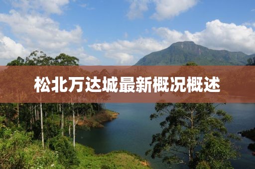 松北万达城最新概况概述
