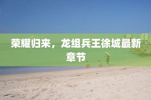 荣耀归来，龙组兵王徐城最新章节