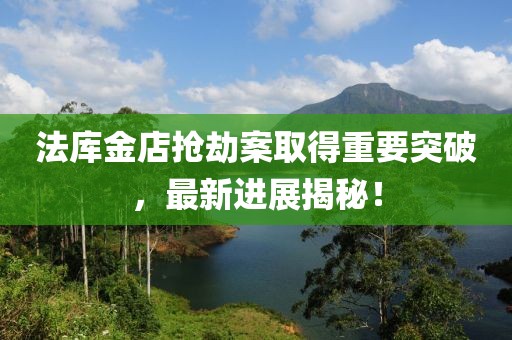 法库金店抢劫案取得重要突破，最新进展揭秘！