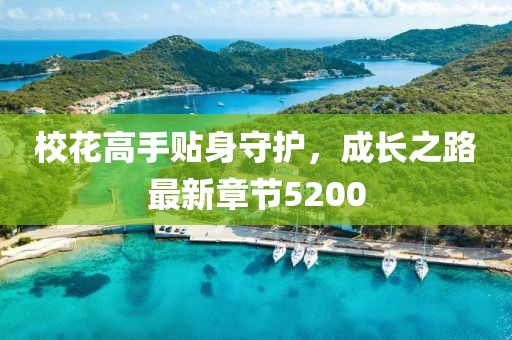 校花高手贴身守护，成长之路最新章节5200