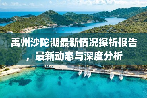禹州沙陀湖最新情况探析报告，最新动态与深度分析