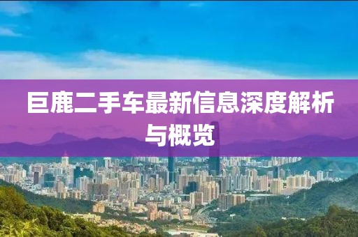 巨鹿二手车最新信息深度解析与概览