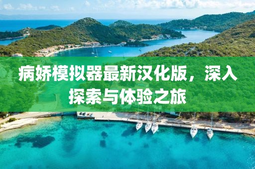 病娇模拟器最新汉化版，深入探索与体验之旅