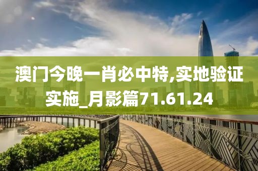 澳门今晚一肖必中特,实地验证实施_月影篇71.61.24