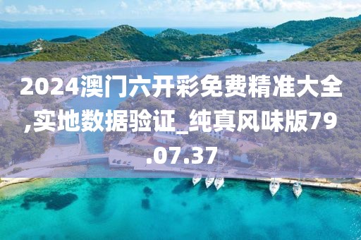 2024澳门六开彩免费精准大全,实地数据验证_纯真风味版79.07.37