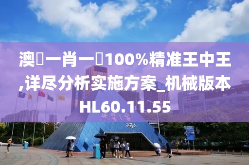 澳門一肖一碼100%精准王中王,详尽分析实施方案_机械版本HL60.11.55