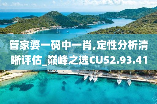 管家婆一码中一肖,定性分析清晰评估_巅峰之选CU52.93.41