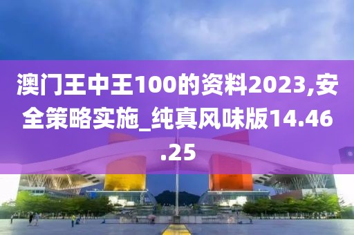 澳门王中王100的资料2023,安全策略实施_纯真风味版14.46.25