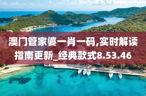 澳门管家婆一肖一码,实时解读指南更新_经典款式8.53.46