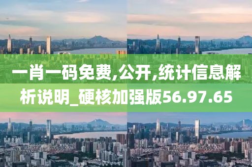 一肖一码免费,公开,统计信息解析说明_硬核加强版56.97.65