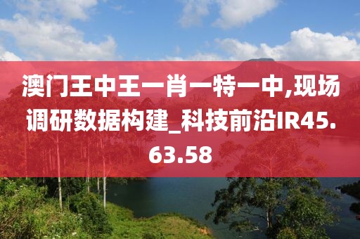 澳门王中王一肖一特一中,现场调研数据构建_科技前沿IR45.63.58