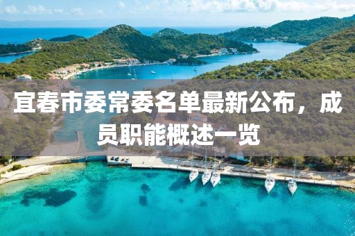 宜春市委常委名单最新公布，成员职能概述一览