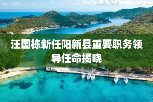 汪国栋新任阳新县重要职务领导任命揭晓