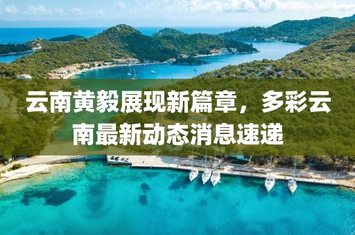 云南黄毅展现新篇章，多彩云南最新动态消息速递