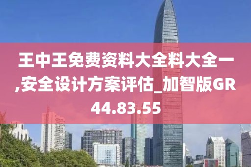 王中王免费资料大全料大全一,安全设计方案评估_加智版GR44.83.55