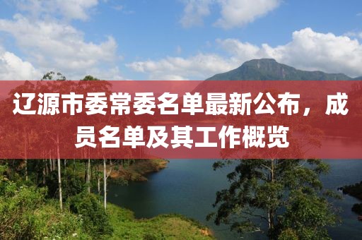 辽源市委常委名单最新公布，成员名单及其工作概览