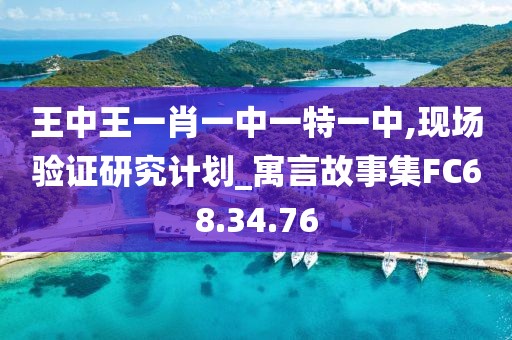 王中王一肖一中一特一中,现场验证研究计划_寓言故事集FC68.34.76