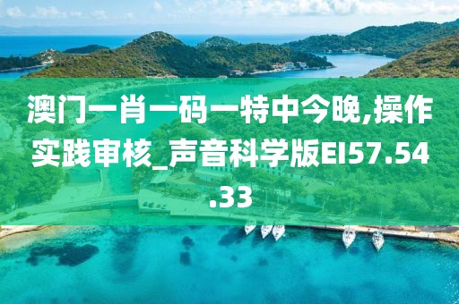 澳门一肖一码一特中今晚,操作实践审核_声音科学版EI57.54.33