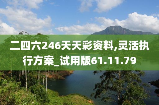 二四六246天天彩资料,灵活执行方案_试用版61.11.79