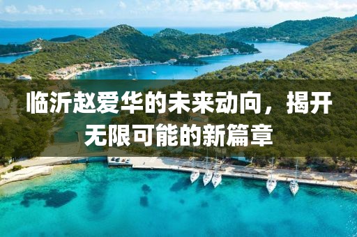 临沂赵爱华的未来动向，揭开无限可能的新篇章