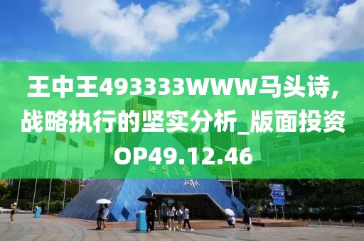 王中王493333WWW马头诗,战略执行的坚实分析_版面投资OP49.12.46