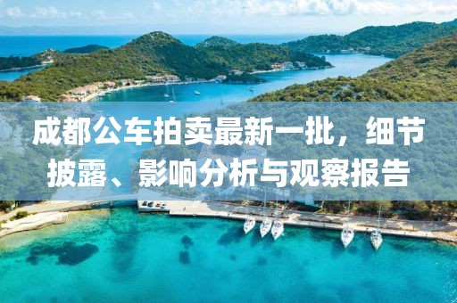 成都公车拍卖最新一批，细节披露、影响分析与观察报告