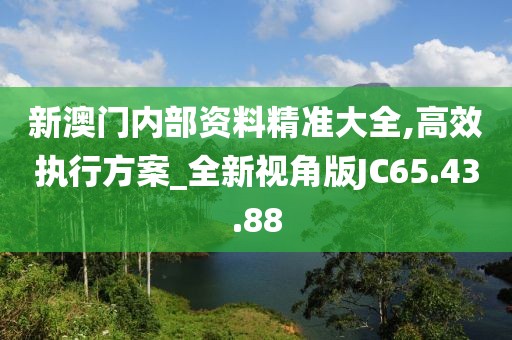 新澳门内部资料精准大全,高效执行方案_全新视角版JC65.43.88