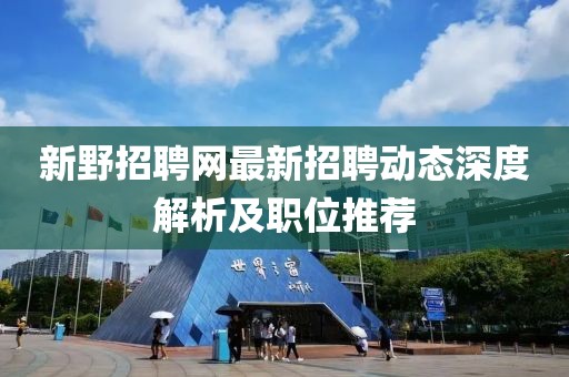新野招聘网最新招聘动态深度解析及职位推荐