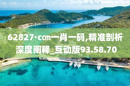 62827·c㎝一肖一码,精准剖析 深度阐释_互动版93.58.70