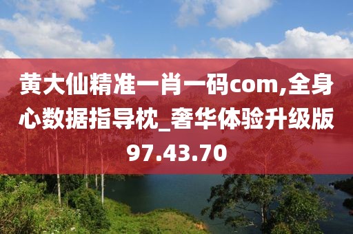 黄大仙精准一肖一码com,全身心数据指导枕_奢华体验升级版97.43.70