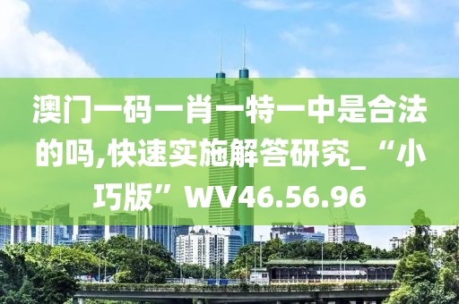 澳门一码一肖一特一中是合法的吗,快速实施解答研究_“小巧版”WV46.56.96