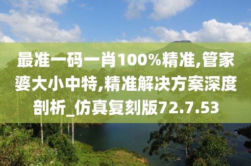 最准一码一肖100%精准,管家婆大小中特,精准解决方案深度剖析_仿真复刻版72.7.53