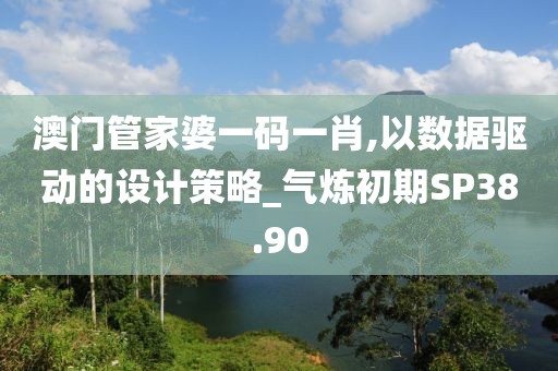 澳门管家婆一码一肖,以数据驱动的设计策略_气炼初期SP38.90