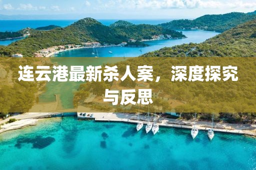 连云港最新杀人案，深度探究与反思