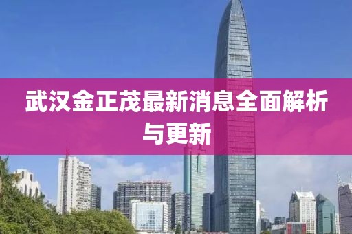 武汉金正茂最新消息全面解析与更新