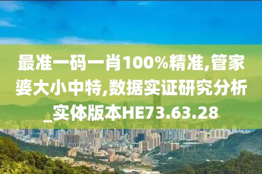 最准一码一肖100%精准,管家婆大小中特,数据实证研究分析_实体版本HE73.63.28