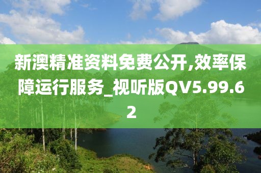 新澳精准资料免费公开,效率保障运行服务_视听版QV5.99.62