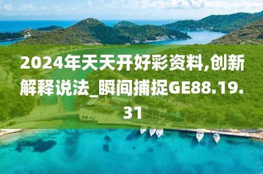 2024年天天开好彩资料,创新解释说法_瞬间捕捉GE88.19.31