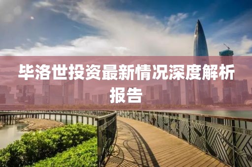 毕洛世投资最新情况深度解析报告